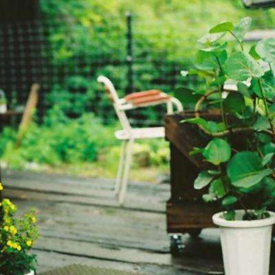 狗万官网手机app下载